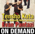 Kyusho Tensho Kata: Nerve Attacks of the Bubishi with Evan Pantazi (On Demand) Hot on Sale