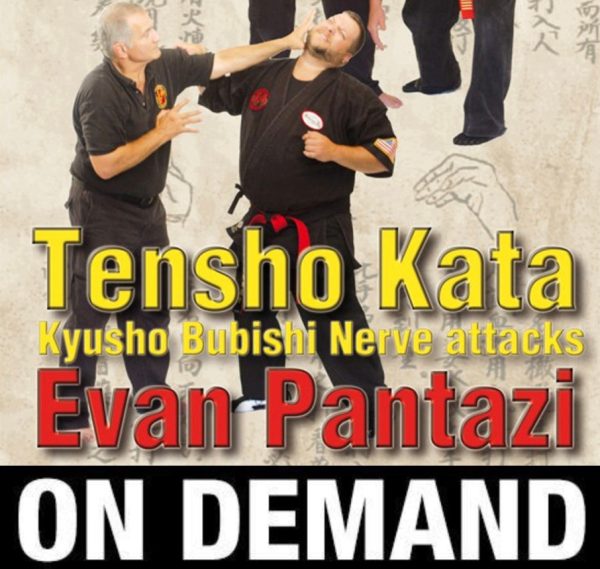 Kyusho Tensho Kata: Nerve Attacks of the Bubishi with Evan Pantazi (On Demand) Hot on Sale