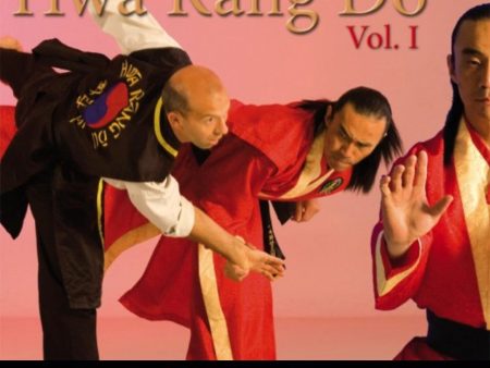 Hwa Rang Do Extreme Takedowns Vol 1 by Taejoon Lee (On Demand) For Sale