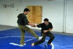 Systema - Gun Disarming DVD Discount