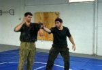 Systema - Gun Disarming DVD Discount